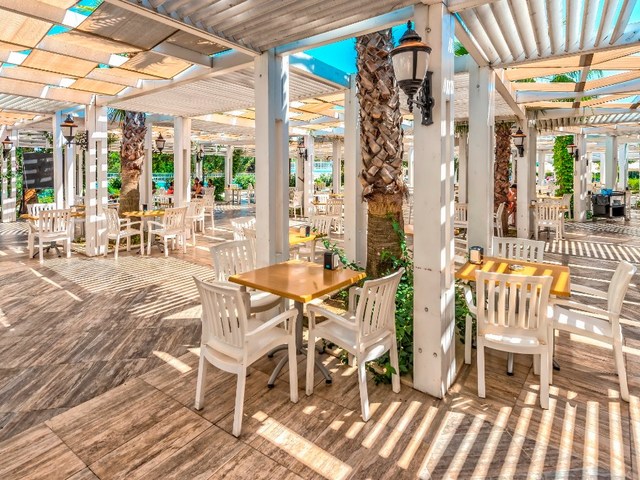 фотографии Serenis изображение №12