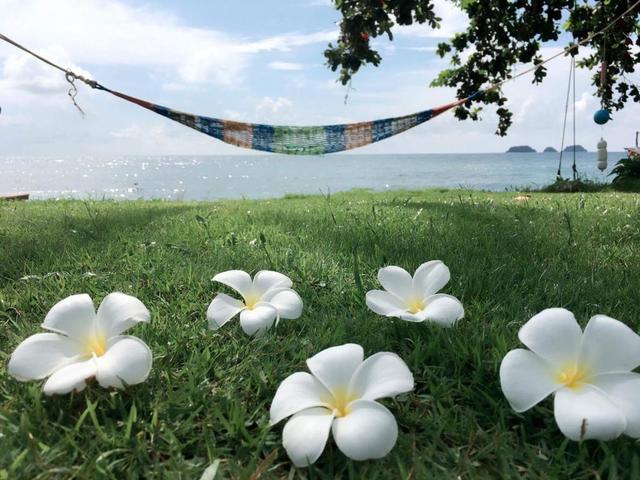 фото Elephant Bay Resort (ex. Gu Bay Resort) изображение №10