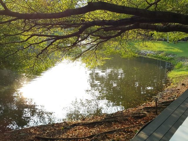 фотографии The Leela Resort & Spa Pattaya (ex. Leelawadee Lagoon Resort) изображение №60