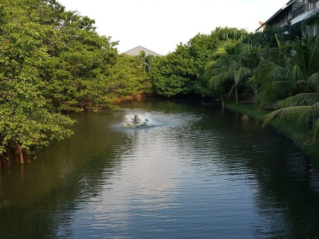 фото отеля The Leela Resort & Spa Pattaya (ex. Leelawadee Lagoon Resort) изображение №33