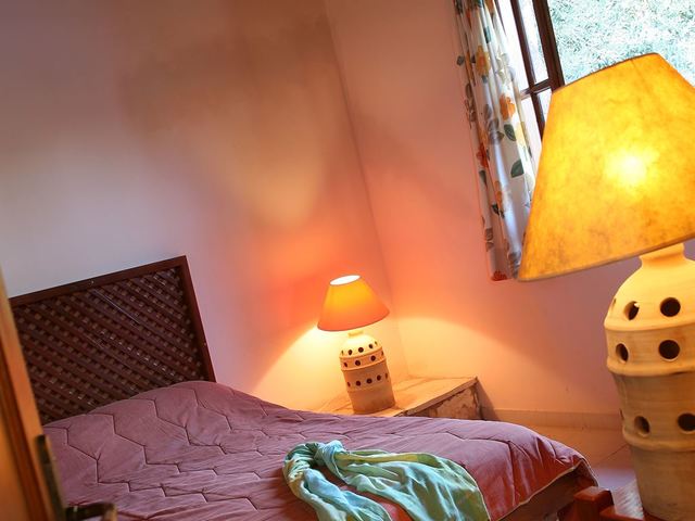 фото Olive Grove изображение №2