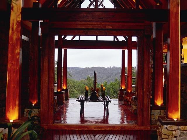 фотографии Tsala Treetop Lodge изображение №20