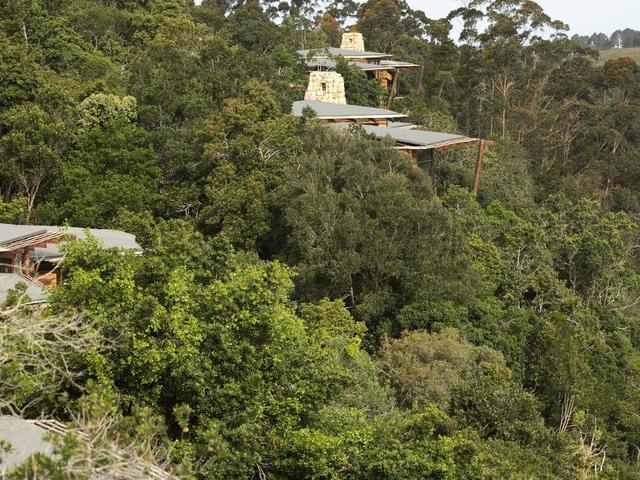 фотографии отеля Tsala Treetop Lodge изображение №19