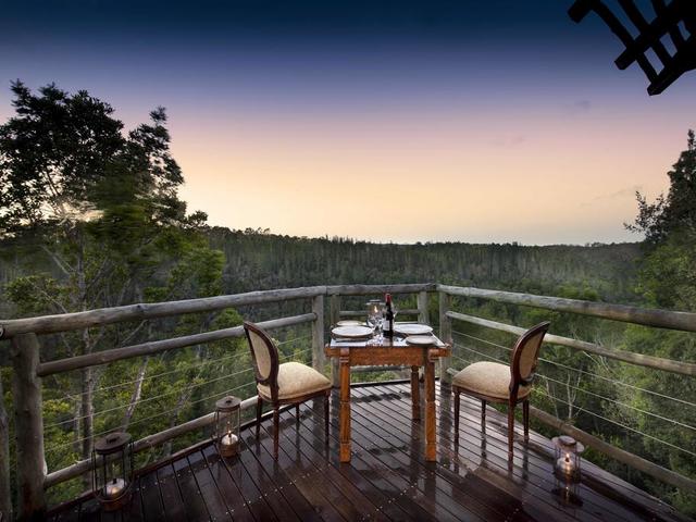 фотографии отеля Tsala Treetop Lodge изображение №11