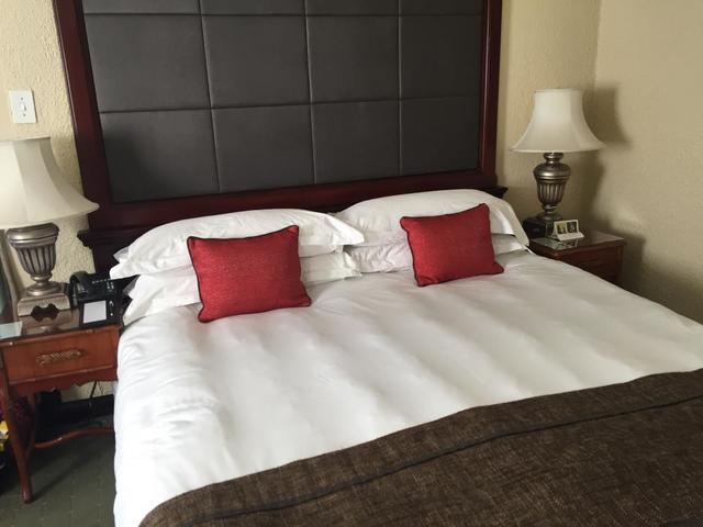 фото отеля Sun International Cascades Sun City изображение №5