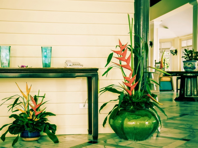 фотографии Andaman Seaview изображение №120
