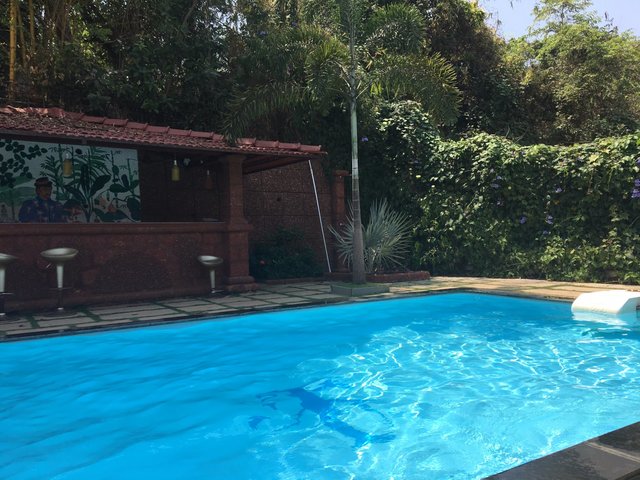 фотографии отеля Tranquility Cottage Resort изображение №7