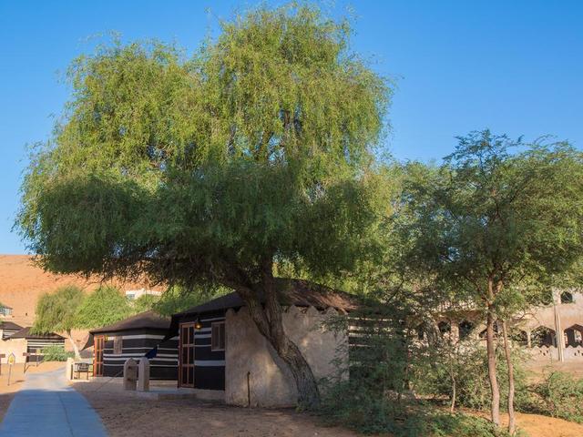 фото отеля Thousand Nights Camp изображение №29