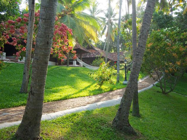 фотографии отеля The Travancore Heritage изображение №31