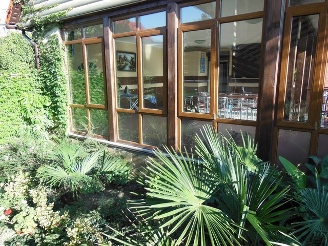 фотографии Лучистая (Luchistaia) изображение №40