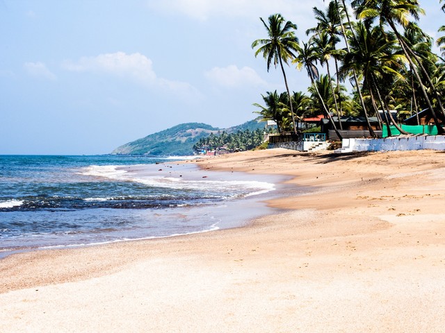 фото The Quest изображение №6