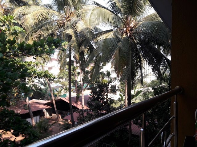 фотографии Palm Resort изображение №16