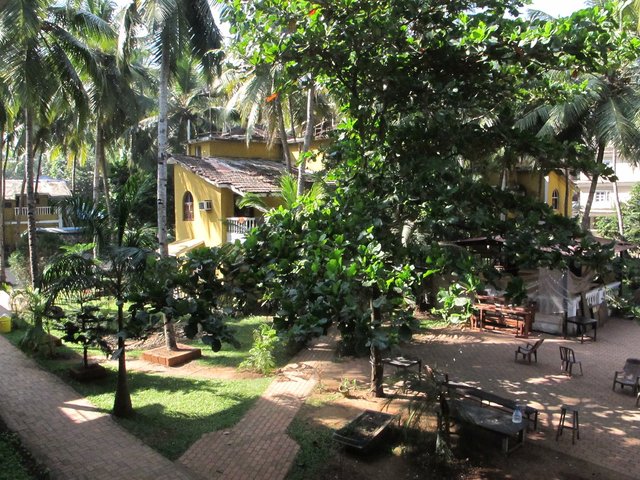 фотографии отеля Palm Resort изображение №7