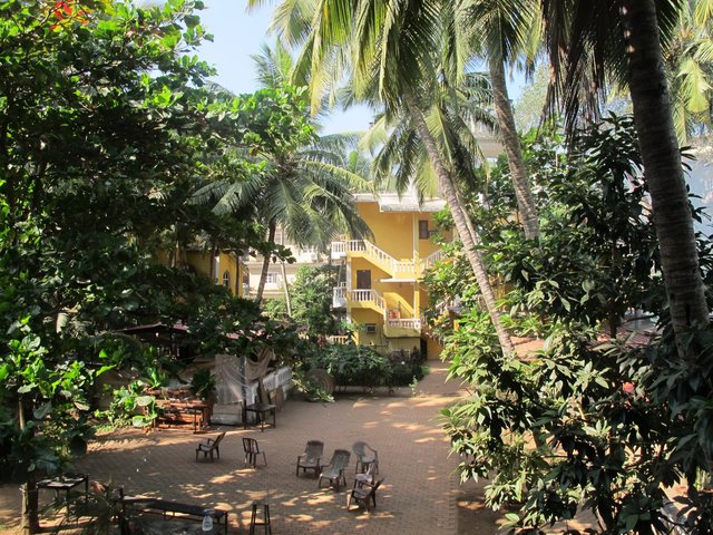 фото Palm Resort изображение №2