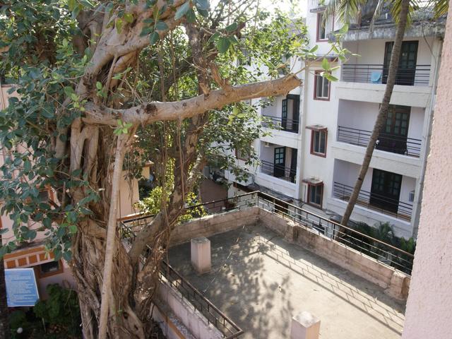 фото отеля Reemz Perola Do Mar изображение №25