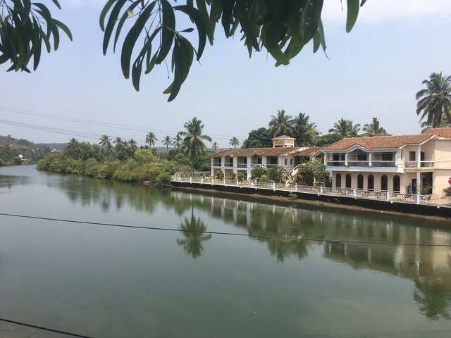 фотографии отеля Riverside Regency изображение №7