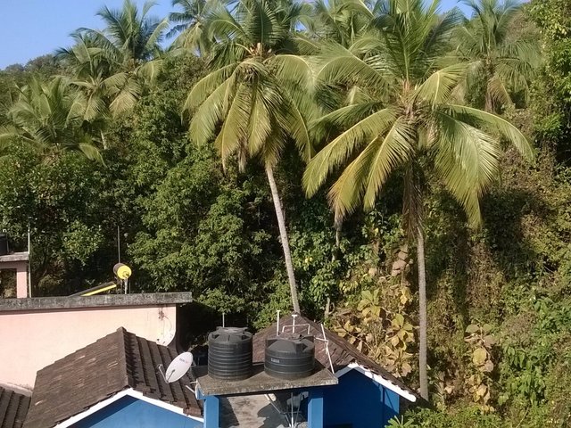 фото отеля Riverside Regency изображение №5