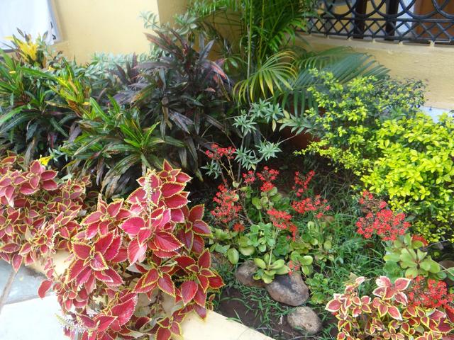 фотографии Pristine Resort изображение №16