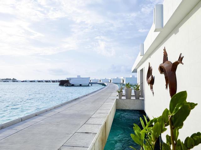 фотографии Riu Palace Maldives изображение №36