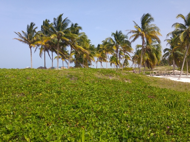 фото отеля Roc Santa Lucia (ex. Gran Club Santa Lucia) изображение №9