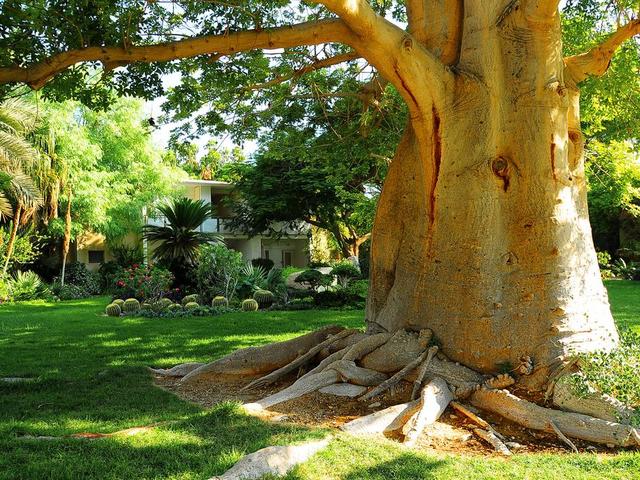 фотографии отеля Ein Gedi изображение №31