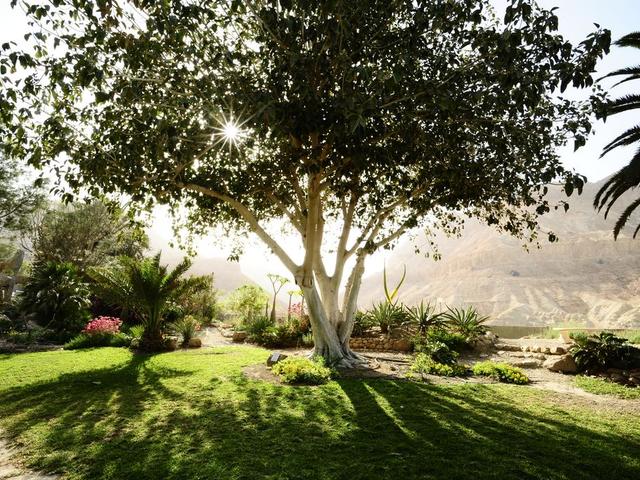 фото отеля Ein Gedi изображение №29