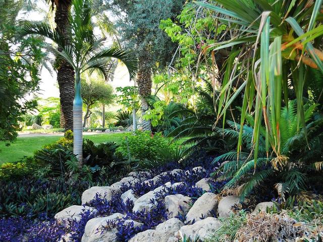 фотографии отеля Ein Gedi изображение №27