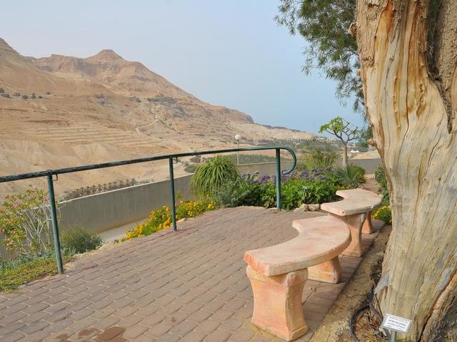 фото Ein Gedi изображение №26