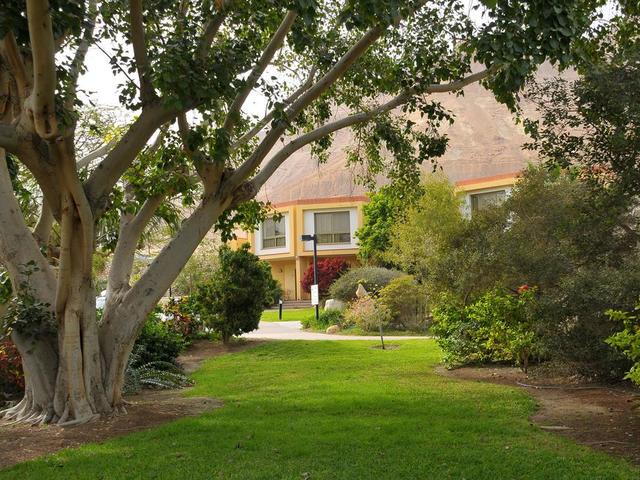 фото отеля Ein Gedi изображение №25