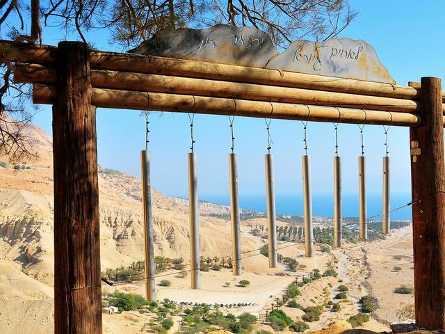 фотографии отеля Ein Gedi изображение №23