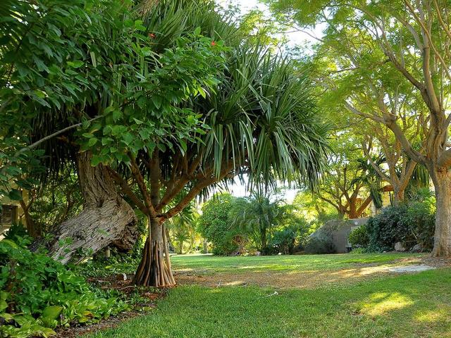 фото отеля Ein Gedi изображение №13