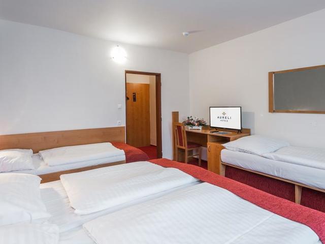 фотографии отеля Aureli Hotels Globus изображение №31
