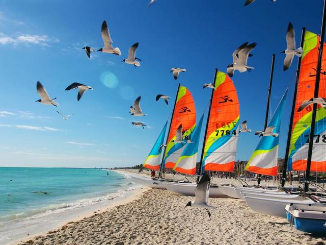 фото Grand Muthu Cayo Guillermo изображение №6