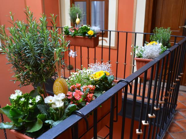 фотографии отеля Residence U Cerneho Orla изображение №15