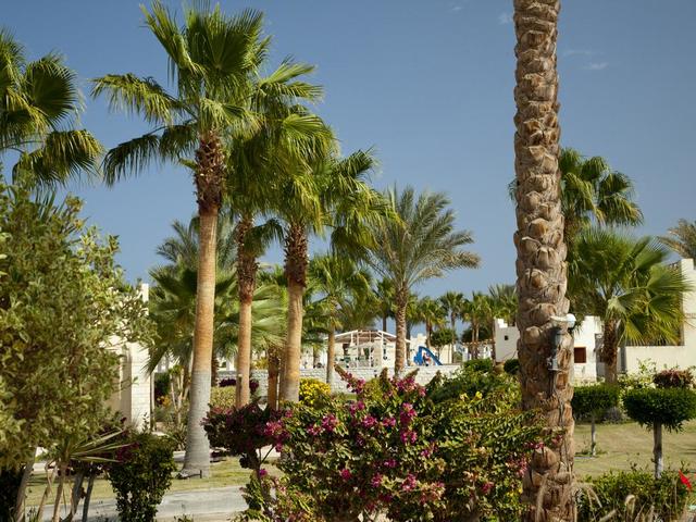 фотографии отеля Coral Beach (ex. Coral Beach Rotana Resort) изображение №19