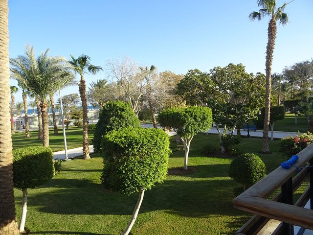 фото отеля Red Sea The Grand изображение №13