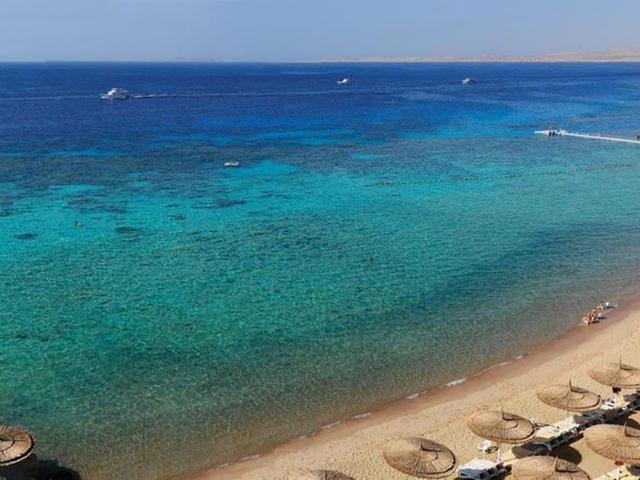 фото отеля Reef Oasis Beach Resort изображение №73