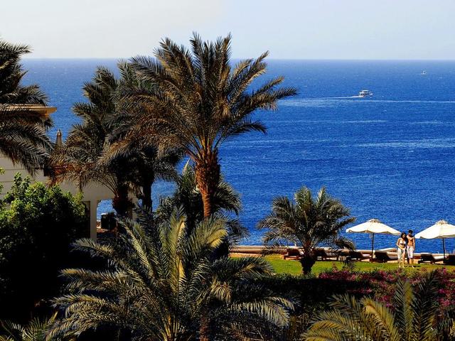 фотографии отеля Reef Oasis Beach Resort изображение №71