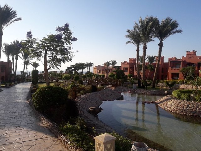 фото отеля Charmillion Gardens Aqua Park (ex. Sea Gardens) изображение №69