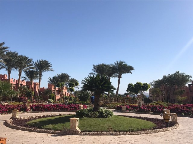 фотографии отеля Charmillion Gardens Aqua Park (ex. Sea Gardens) изображение №55