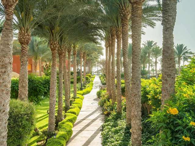 фотографии отеля Sharm Grand Plaza Resort изображение №23