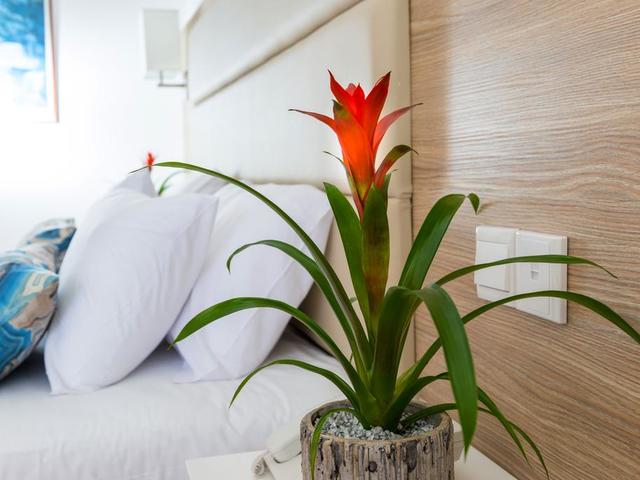 фото отеля Tsokkos Ascos Coral Beach изображение №25