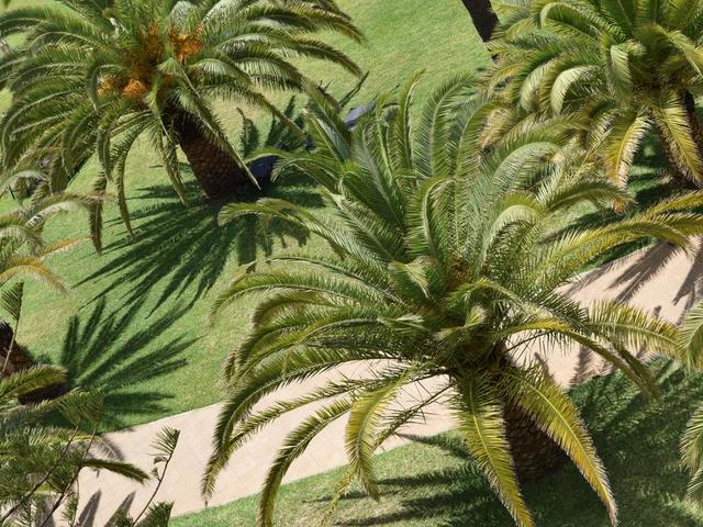 фотографии отеля Oceana Hotel & Spa (ex. TUI Blue Oceana Suites; TUI SENSIMAR Oceana Resort & Spa) изображение №51