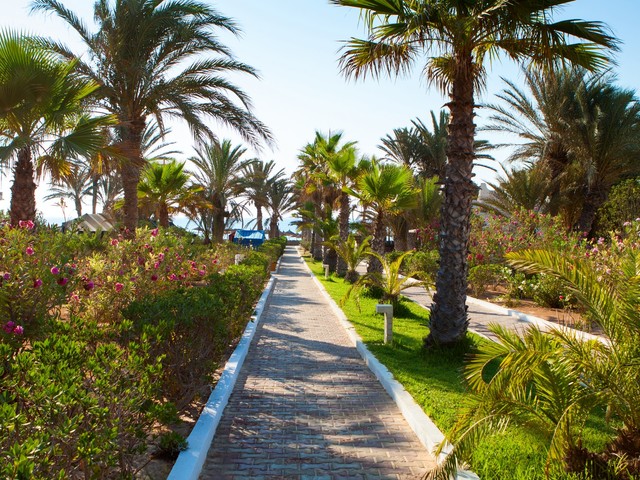 фото Fortuna изображение №6