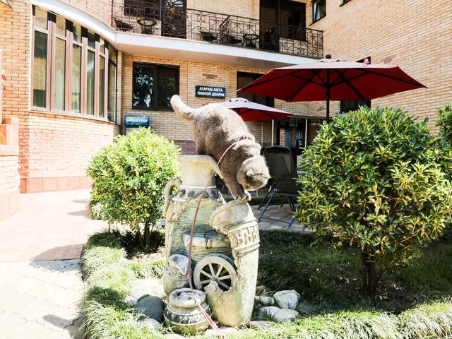 фотографии Тихий Дон (Tikhiy Don) изображение №24