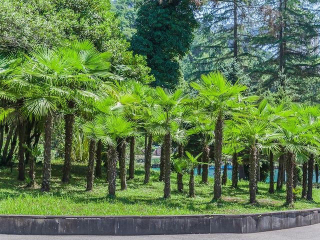 фотографии Госдача Мюссера (ex. Дача Горбачева) изображение №48