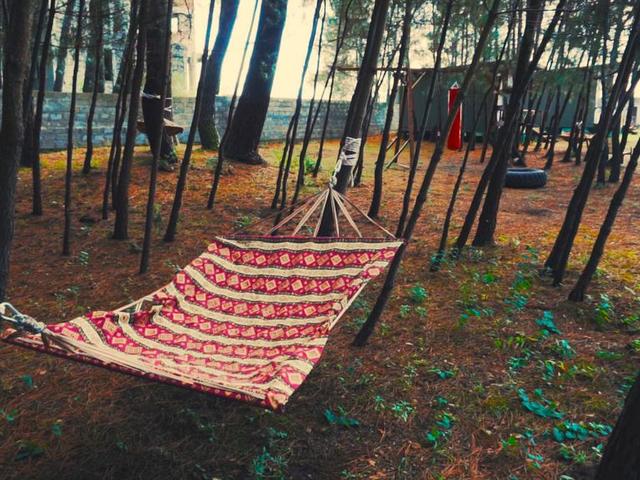 фото отеля Forest Club (Форест Клуб) изображение №13