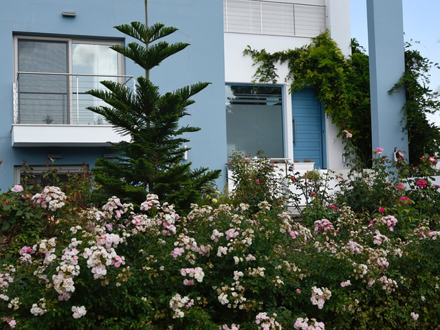 фотографии K&K Luxury Beach Villas изображение №8