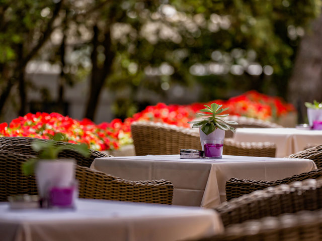 фотографии Labranda Senses Resort (ex. Adriatic) изображение №28