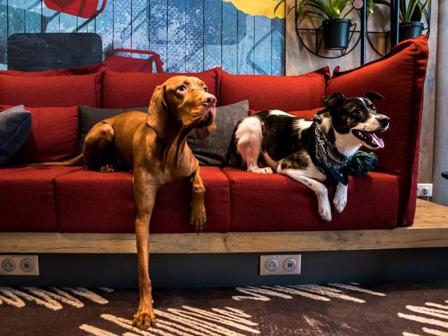 фото Ibis Vilnius Centre изображение №26